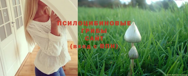 прущие грибы Алексеевка