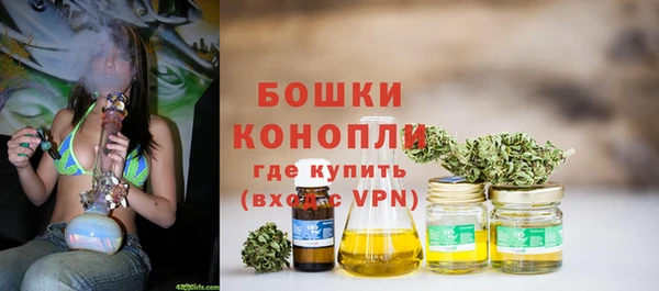 сатива Абдулино