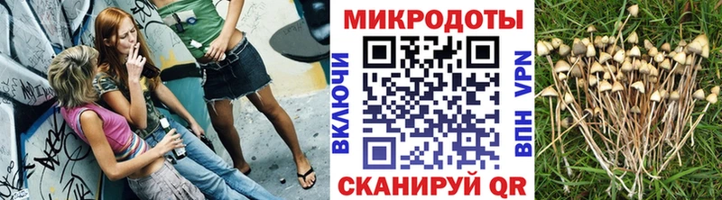 Псилоцибиновые грибы MAGIC MUSHROOMS  MEGA как зайти  Ессентукская  сколько стоит 