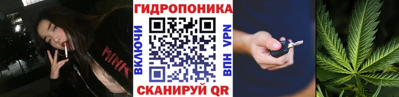 Бошки марихуана сатива гидра рабочий сайт Ессентукская